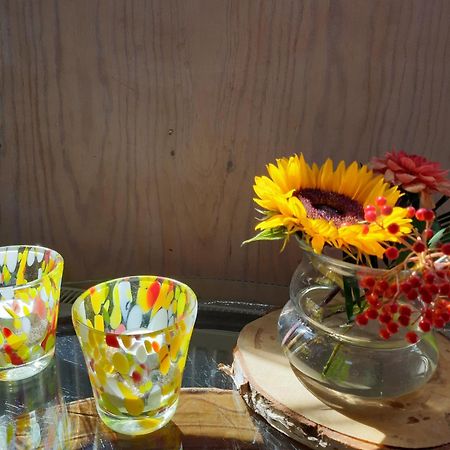 Tuinhuis Lutjewinkel Екстериор снимка