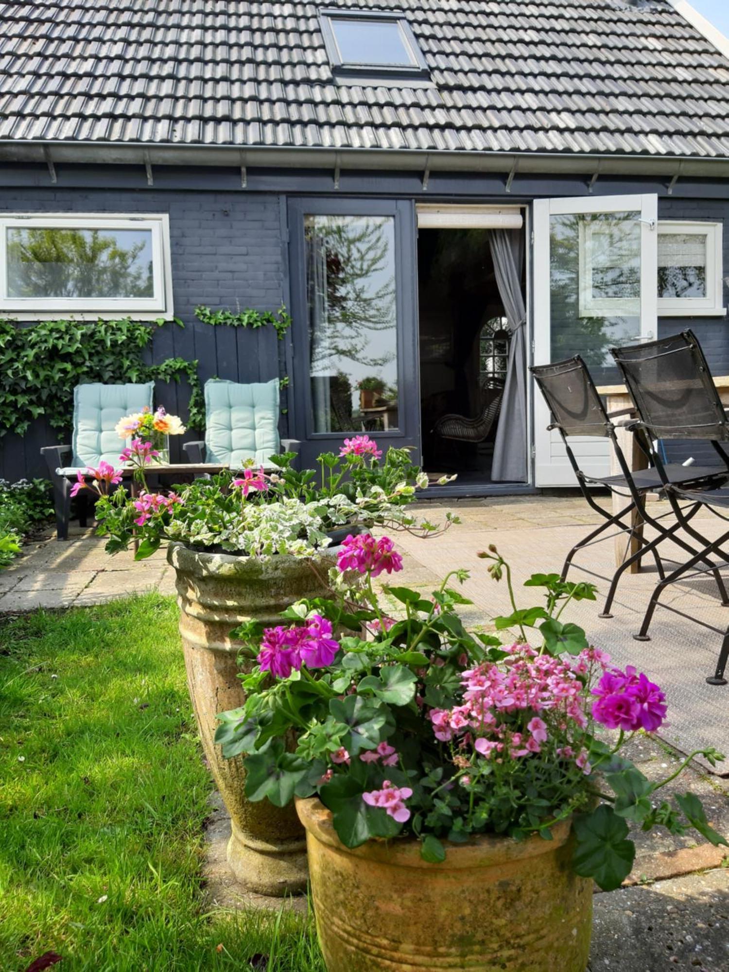 Tuinhuis Lutjewinkel Екстериор снимка